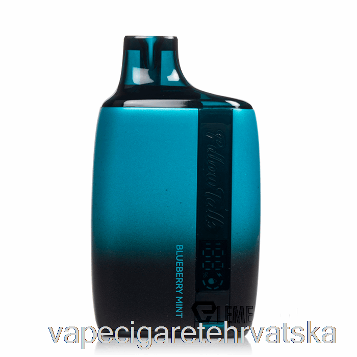 Vape Hrvatska Pillow Talk 8500 Jednokratna Borovnica Mint